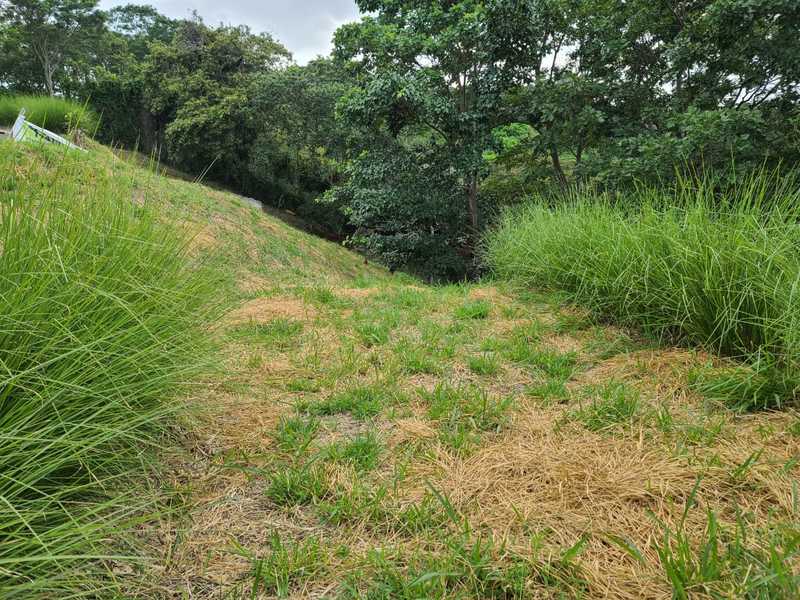 0 bed Land For Sale in Naranjo, Alajuela - 1